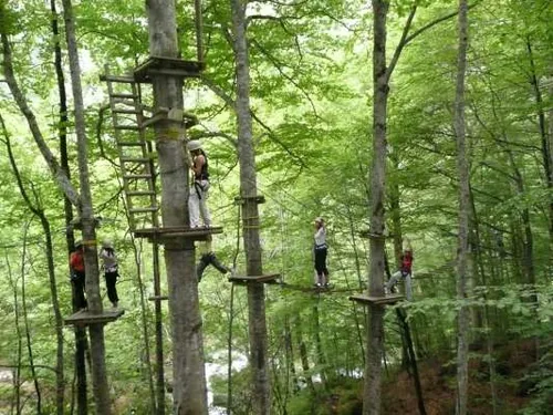 Accrobranche® à Apt, Vaucluse (84)
