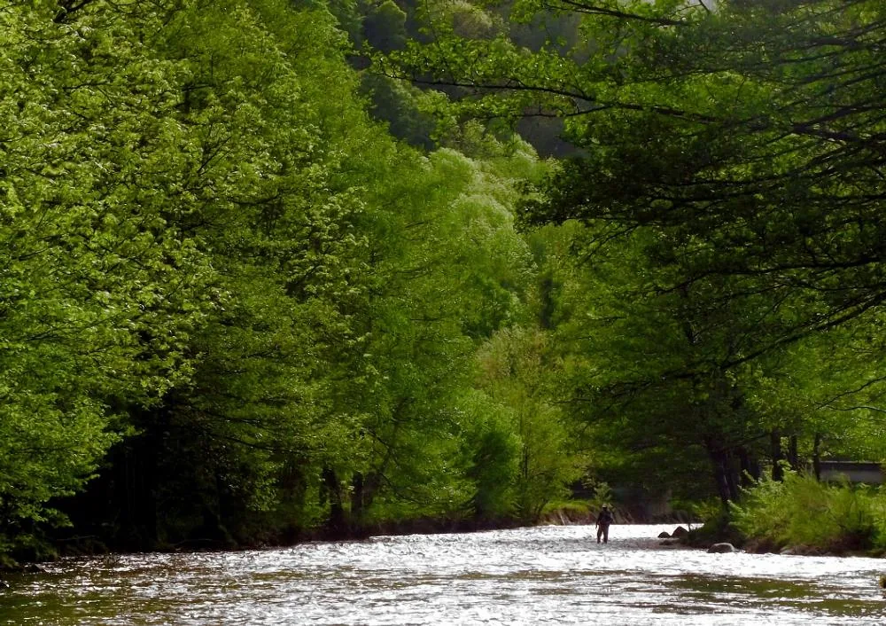 Ariège Pêche Nature à Foix, Ariège (09)
