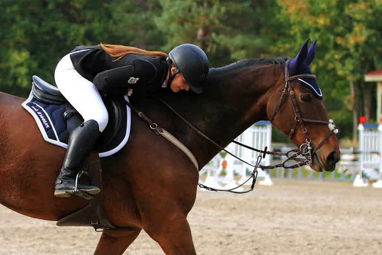 Arbonne Equitation à Arbonne-la-Forêt, Seine-et-Marne (77)