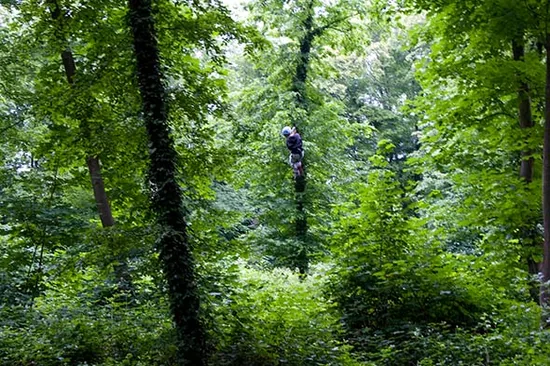 Association Les ACCRO-Branchés à Chaville, Hauts-de-Seine (92)