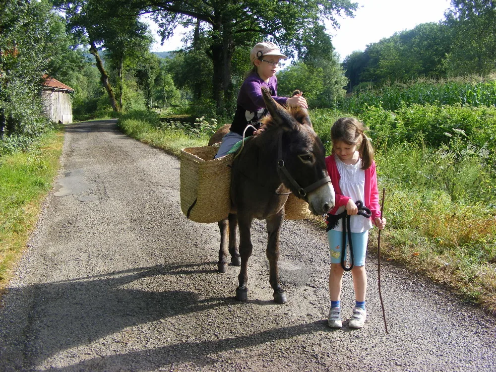 Balad'âne à Ligneyrac, Corrèze (19)