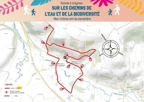 Balades à Énigmes : sur les Chemins de l'Eau et de la Biodiversité à Velotte-et-Tatignécourt, Vosges (88)
