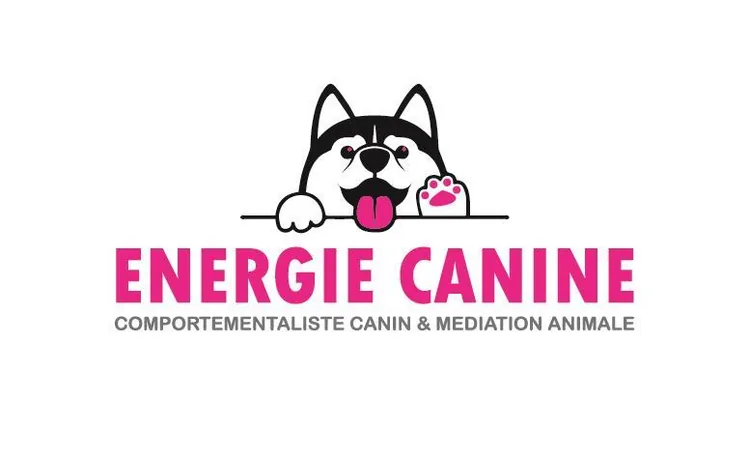 Cani-Rando - Energie Canine à Bussang, Vosges (88)