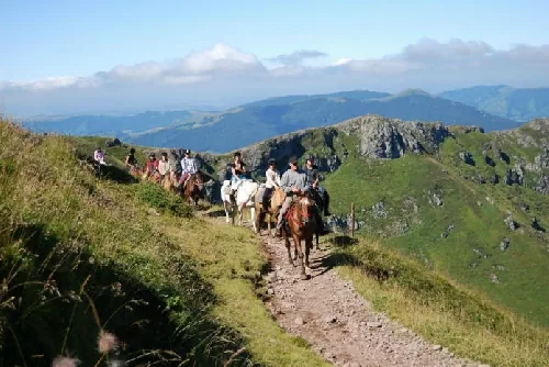 Cheval Découverte à Polminhac, Cantal (15)