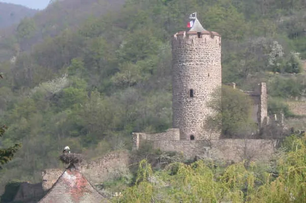 Château de Kaysersberg à Kaysersberg, Haut-Rhin (68)