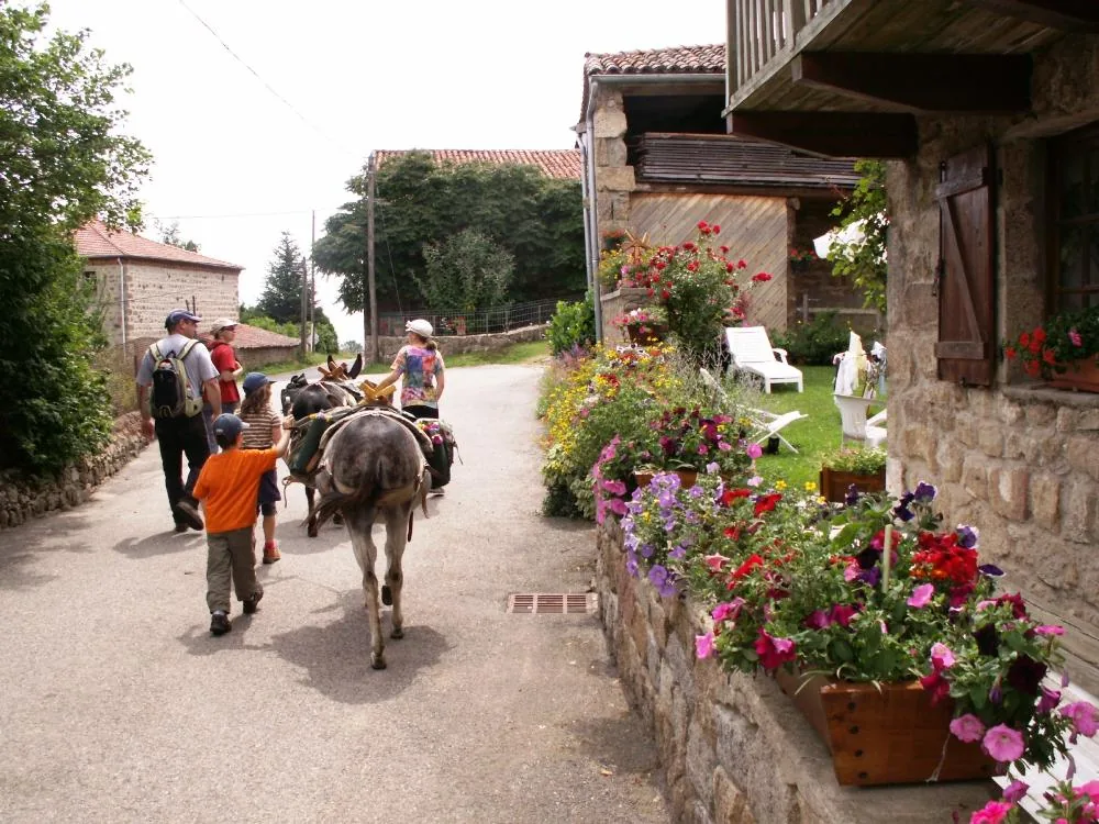 Docil'âne à Lézigneux, Loire (42)