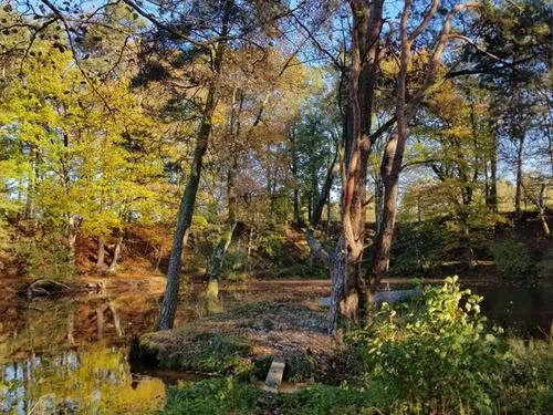 Etang de la Ballastiere à La Houssière, Vosges (88)