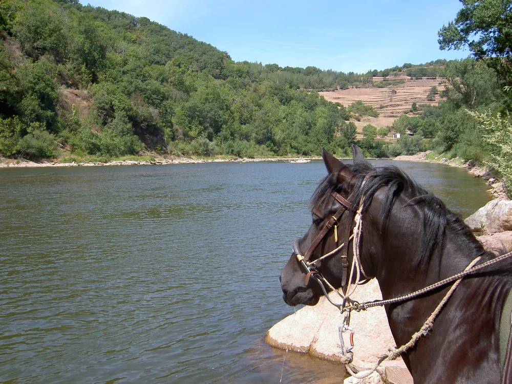 Ferme Equestre du Griou à Calmels-et-le-Viala, Aveyron (12)