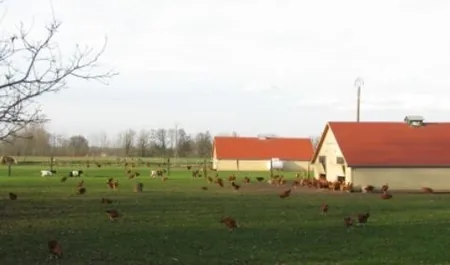 Ferme pédagogique à Cramans, Jura (39)