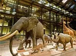 Grande Galerie de Lévolution à Paris 5e (75)