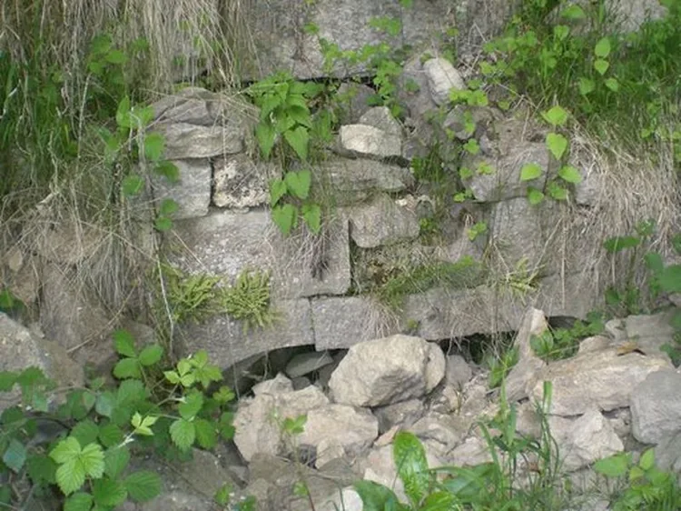 Grotte et Vestiges du Château de la Roche à Saint-Hippolyte, Doubs (25)