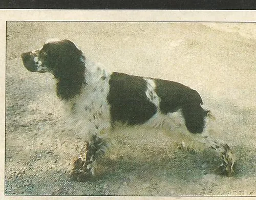 Kath-Elevage à Saint-Antonin-du-Var, Var (83)