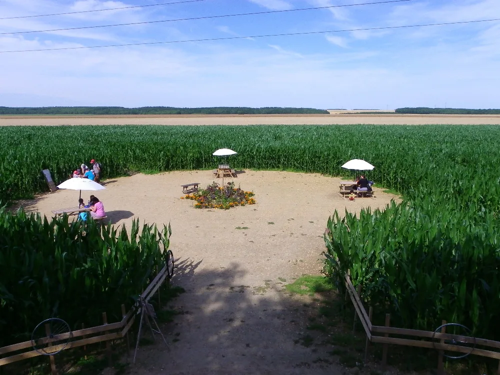 Labyrinthe Végétal du Thimerais à Saint-Sauveur-Marville, Eure-et-Loir (28)