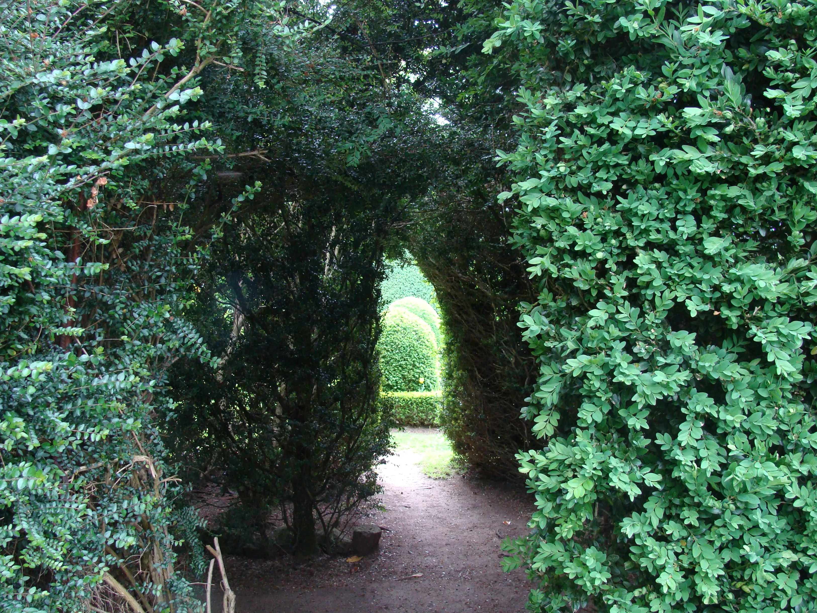 Les Jardins du Prieuré à Aslonnes, Vienne (86)