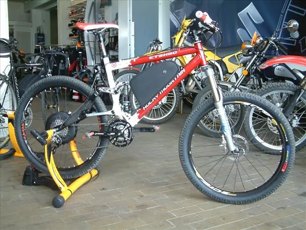 Location de Vélos Électriques et de VTT à Saint-Benoît, Vienne (86)