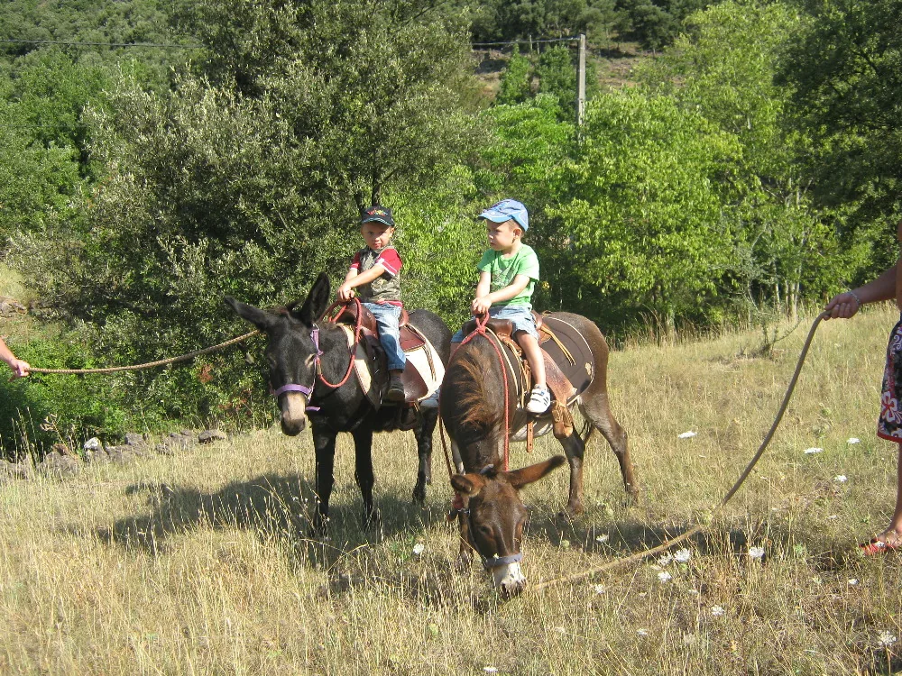 Natur'ânes à Mialet, Gard (30)