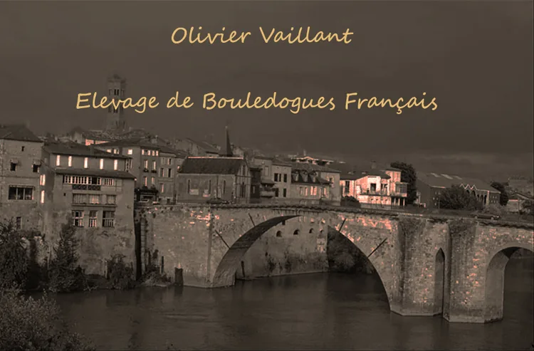 Of Very Promising à Villeneuve-sur-Lot, Lot-et-Garonne (47)