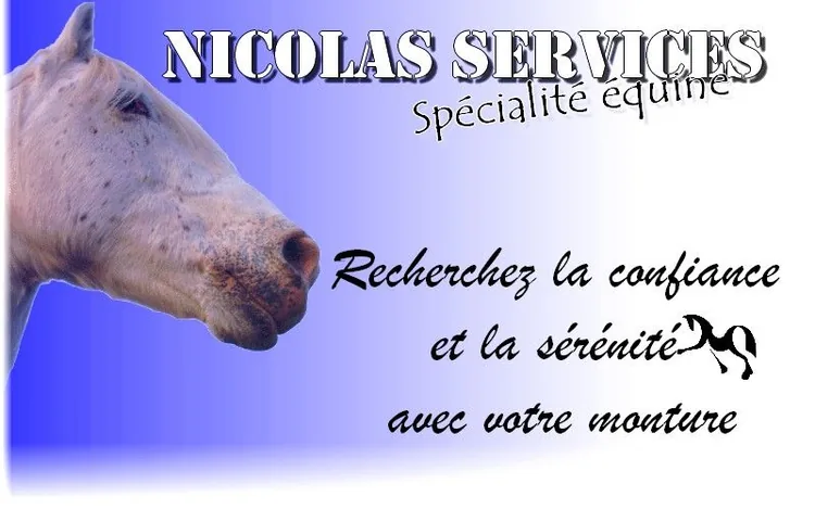 Service Dressage Débourrage Cheval à Hyères, Var (83)