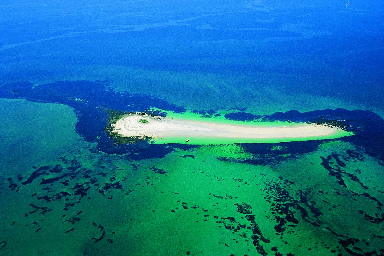 Banc de sable de l'île Guiriden aux Glénan - Finistère - Bretagne