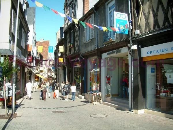 Visite de la ville de Bourges à Bourges, Cher (18)