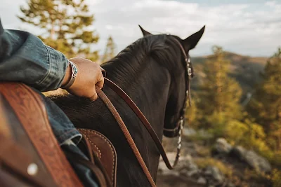 Randonnée à Cheval en France