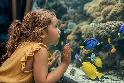 Zoo en France